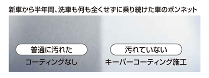 新車から半年間、洗車も何も全くせずに乗り続けた車のボンネット